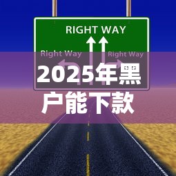 2025年黑户能下款的渠道有哪些？这几个方法或许能帮到你