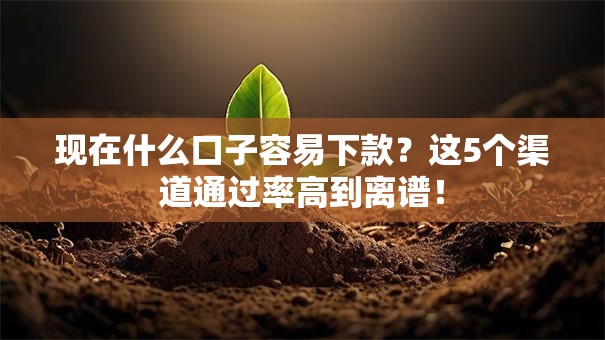 现在什么口子容易下款？这5个渠道通过率高到离谱！