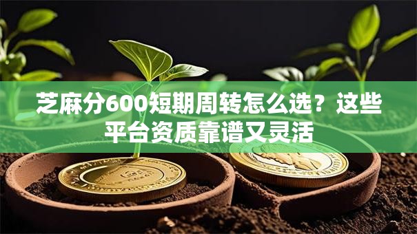芝麻分600短期周转怎么选？这些平台资质靠谱又灵活
