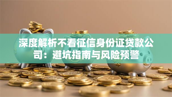 深度解析不看征信身份证贷款公司：避坑指南与风险预警