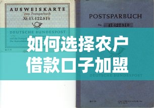 如何选择农户借款口子加盟项目？这几个坑千万要避开！