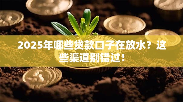2025年哪些贷款口子在放水？这些渠道别错过！