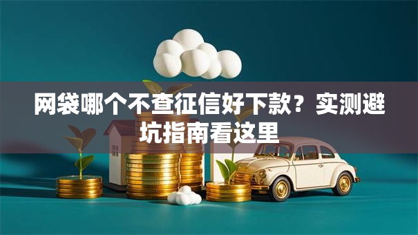 网袋哪个不查征信好下款？实测避坑指南看这里