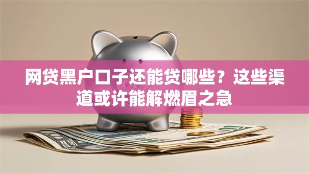网贷黑户口子还能贷哪些？这些渠道或许能解燃眉之急