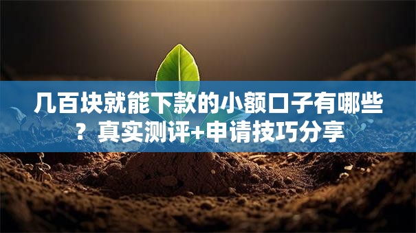 几百块就能下款的小额口子有哪些？真实测评+申请技巧分享