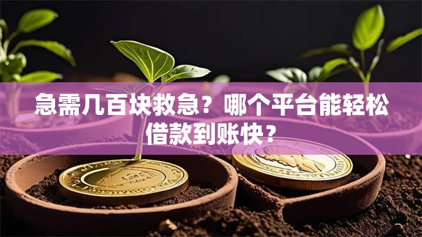 急需几百块救急？哪个平台能轻松借款到账快？