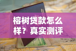 榕树贷款怎么样？真实测评+申请避坑指南，看完再决定
