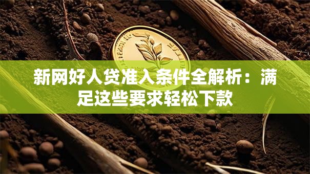 新网好人贷准入条件全解析：满足这些要求轻松下款
