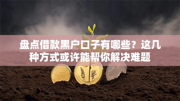 盘点借款黑户口子有哪些？这几种方式或许能帮你解决难题