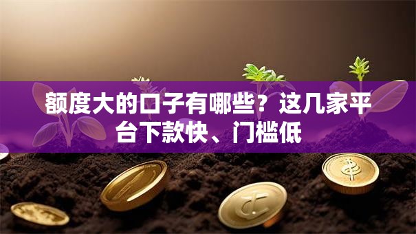 额度大的口子有哪些？这几家平台下款快、门槛低