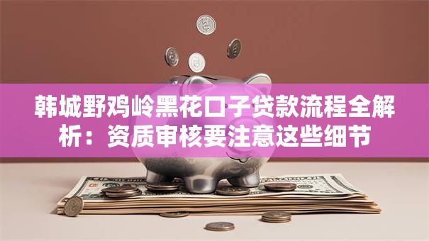 韩城野鸡岭黑花口子贷款流程全解析：资质审核要注意这些细节