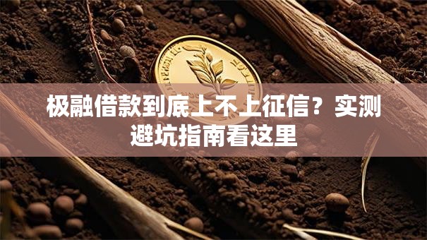 极融借款到底上不上征信？实测避坑指南看这里