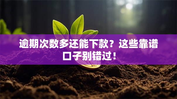 逾期次数多还能下款？这些靠谱口子别错过！