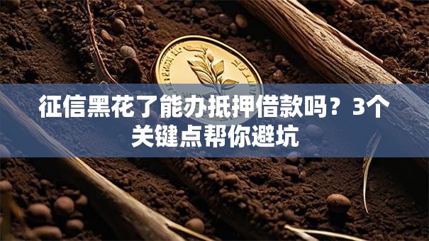 征信黑花了能办抵押借款吗？3个关键点帮你避坑