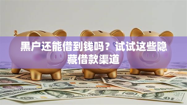 黑户还能借到钱吗？试试这些隐藏借款渠道