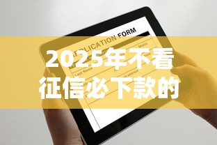 2025年不看征信必下款的口子？老铁们这份攻略得收好
