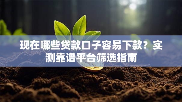 现在哪些贷款口子容易下款？实测靠谱平台筛选指南