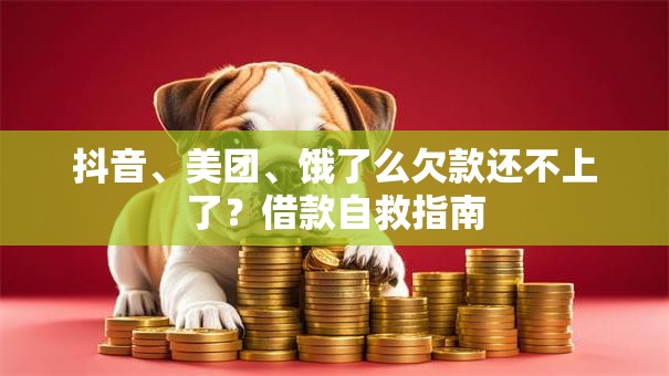 抖音、美团、饿了么欠款还不上了？借款自救指南