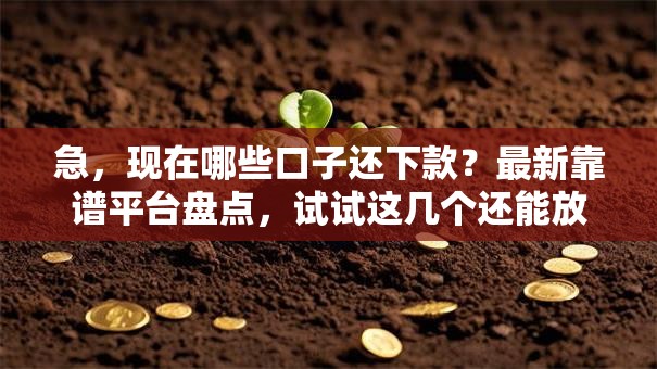 急，现在哪些口子还下款？最新靠谱平台盘点，试试这几个还能放款的口子！