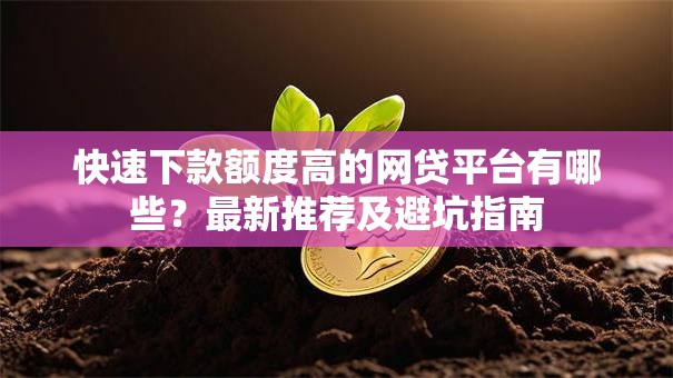 快速下款额度高的网贷平台有哪些？最新推荐及避坑指南