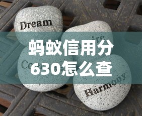 蚂蚁信用分630怎么查个人征信记录？这些方法超实用！