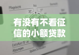 有没有不看征信的小额贷款？真实情况与申请攻略解析