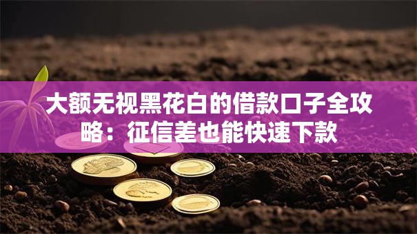 大额无视黑花白的借款口子全攻略：征信差也能快速下款