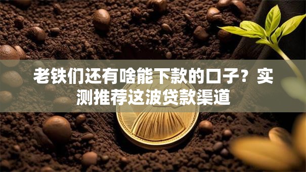 老铁们还有啥能下款的口子？实测推荐这波贷款渠道