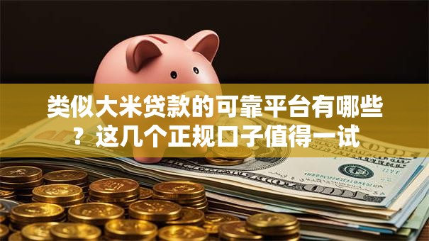 类似大米贷款的可靠平台有哪些？这几个正规口子值得一试