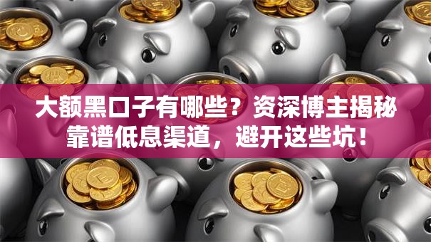 大额黑口子有哪些？资深博主揭秘靠谱低息渠道，避开这些坑！
