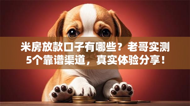 米房放款口子有哪些？老哥实测5个靠谱渠道，真实体验分享！