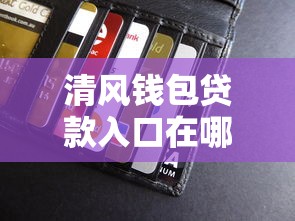 清风钱包贷款入口在哪？最新申请流程和风控解析