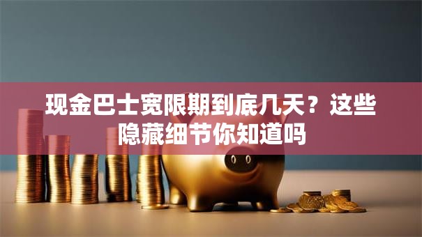 现金巴士宽限期到底几天？这些隐藏细节你知道吗