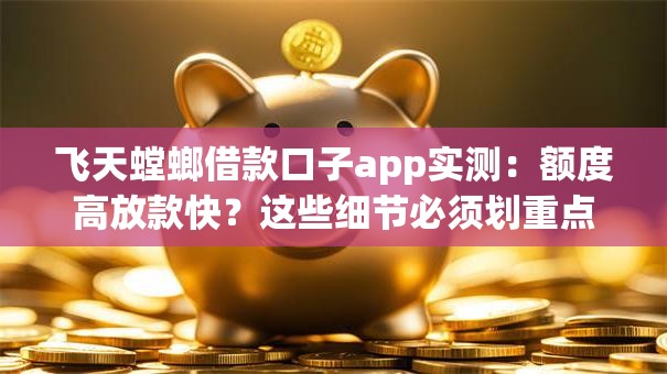 飞天螳螂借款口子app实测：额度高放款快？这些细节必须划重点