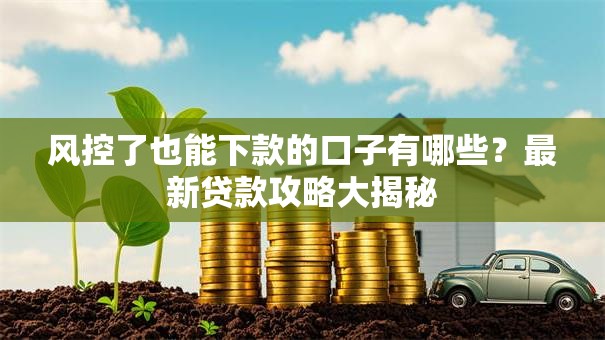 风控了也能下款的口子有哪些？最新贷款攻略大揭秘