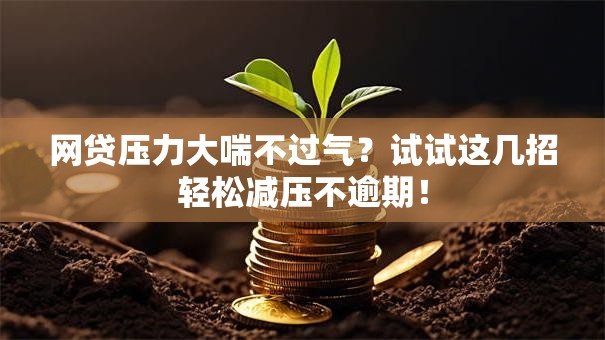 网贷压力大喘不过气？试试这几招轻松减压不逾期！