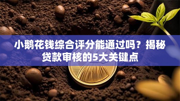 小鹅花钱综合评分能通过吗？揭秘贷款审核的5大关键点