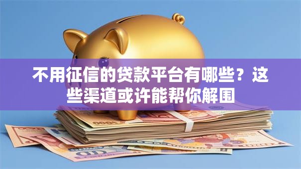 不用征信的贷款平台有哪些？这些渠道或许能帮你解围