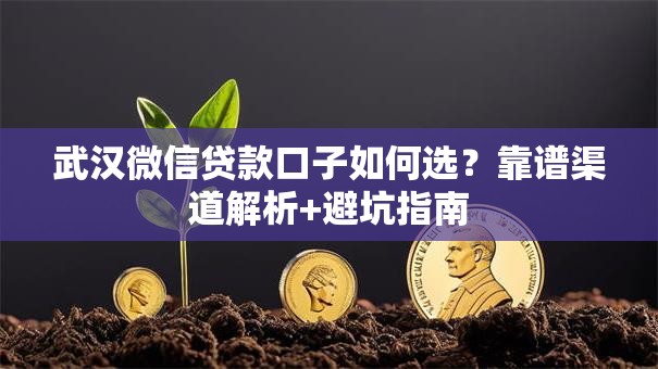 武汉微信贷款口子如何选？靠谱渠道解析+避坑指南