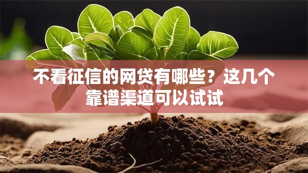不看征信的网贷有哪些？这几个靠谱渠道可以试试