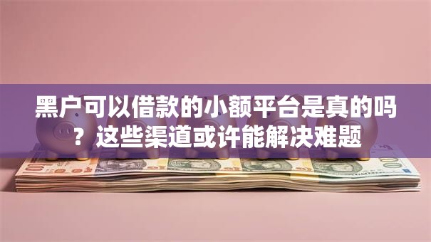黑户可以借款的小额平台是真的吗？这些渠道或许能解决难题