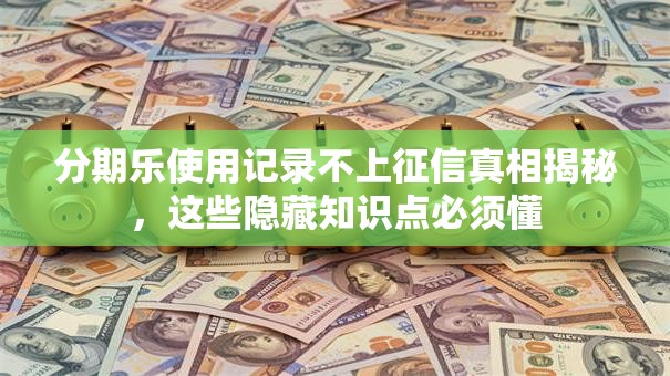 分期乐使用记录不上征信真相揭秘，这些隐藏知识点必须懂