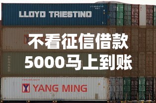 不看征信借款5000马上到账的平台有哪些？实测攻略来了