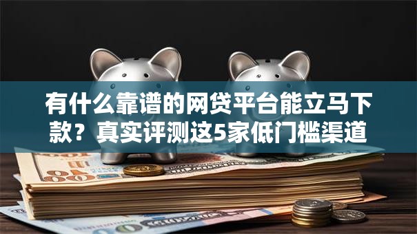 有什么靠谱的网贷平台能立马下款？真实评测这5家低门槛渠道