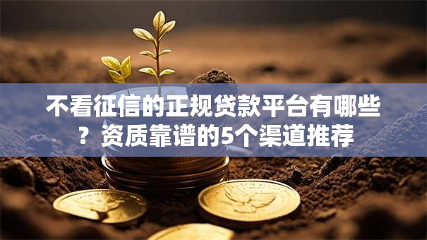 不看征信的正规贷款平台有哪些？资质靠谱的5个渠道推荐