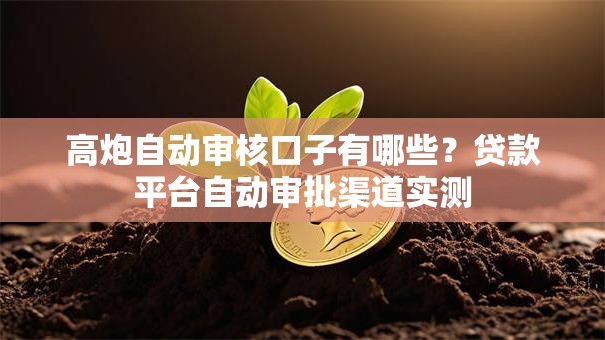 高炮自动审核口子有哪些？贷款平台自动审批渠道实测