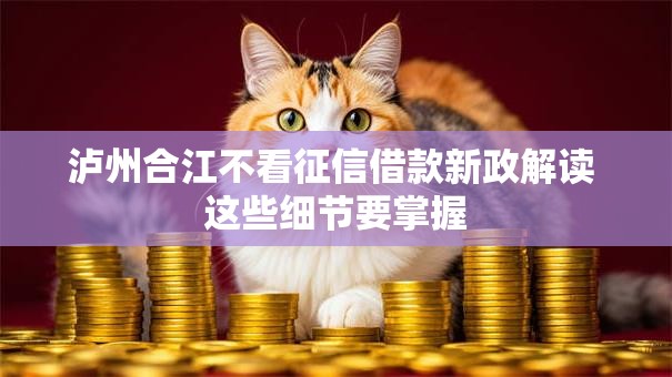 泸州合江不看征信借款新政解读 这些细节要掌握