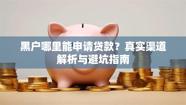 黑户哪里能申请贷款？真实渠道解析与避坑指南