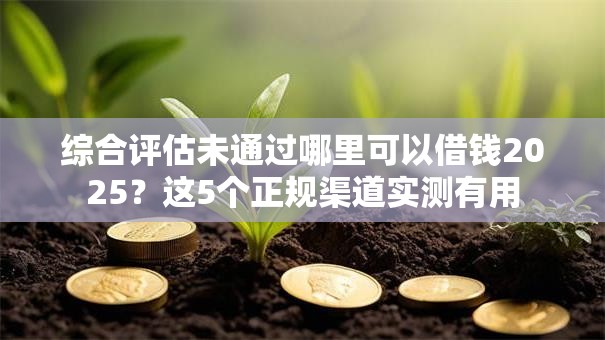 综合评估未通过哪里可以借钱2025？这5个正规渠道实测有用