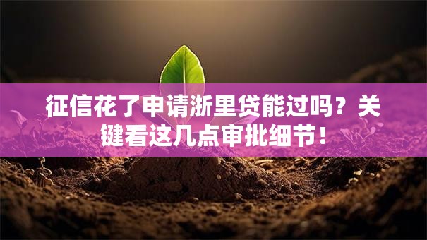 征信花了申请浙里贷能过吗？关键看这几点审批细节！